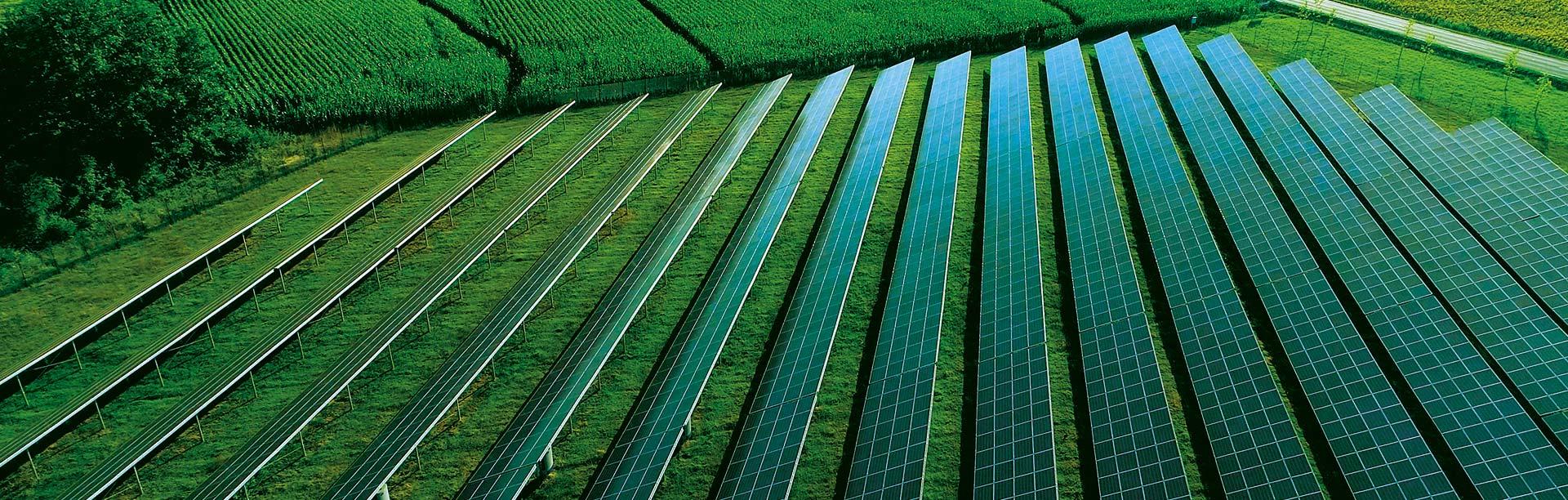 Centrale photovoltaïque au sol Coruscant