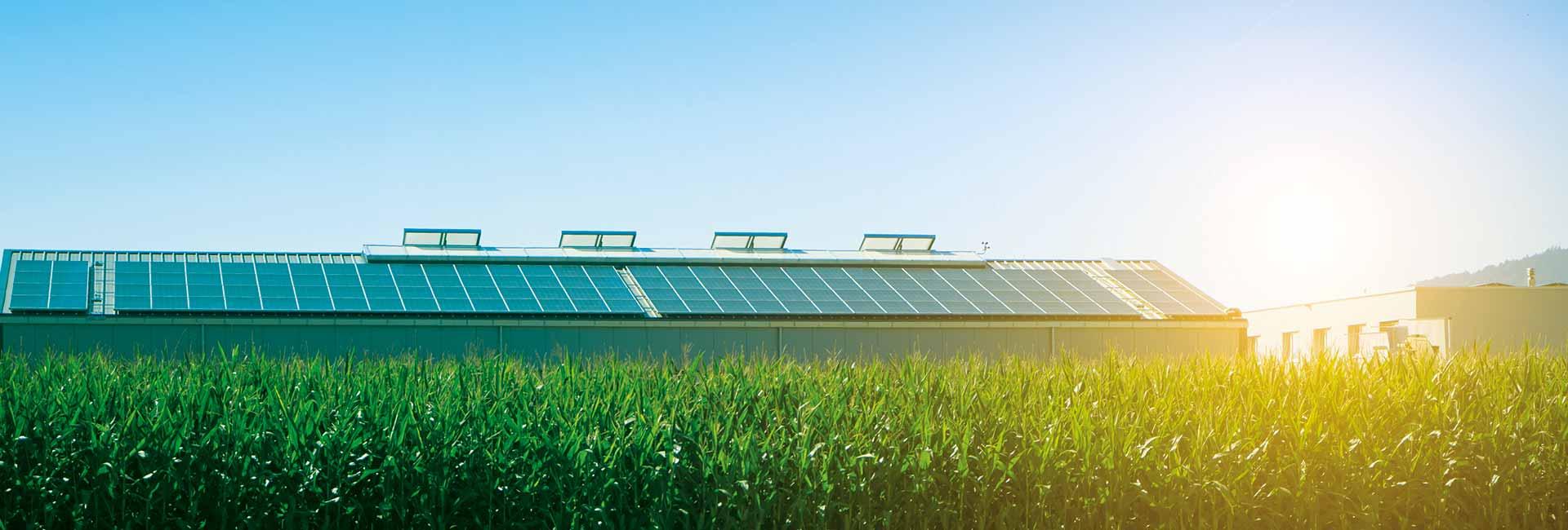 Centrale toiture Photovoltaïque Agriculture par Obton